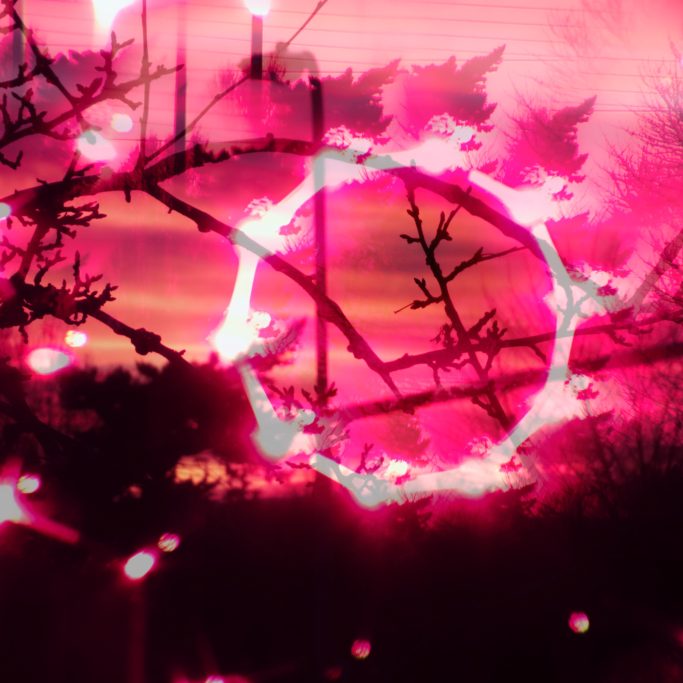 abstract sunset in pink